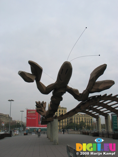 20496 Giant lobster